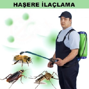 Oğuzeli Böcek İlaçlama